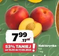 Netto Nektarynki oferta