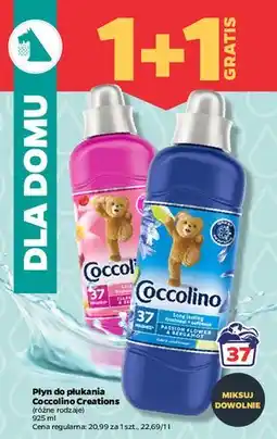 Netto Płyn do płukania passion flower & bergamot Coccolino Creations oferta