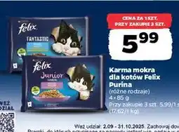 Netto Karma dla kota kurczak + łosoś Purina Felix Junior oferta