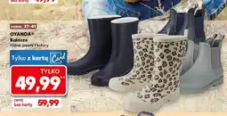 Kaufland OYANDA Kalosze oferta