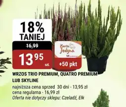 bi1 Wrzos Premium oferta