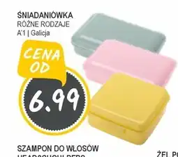 Słoneczko Pudełko na żywność Galicja oferta