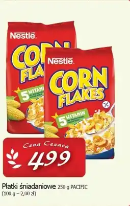 Cezar Delikatesy Płatki śniadaniowe Nestle oferta