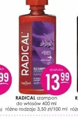 Jaśmin Szampon Radical oferta