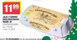 Spar Jaja Czachorowski oferta