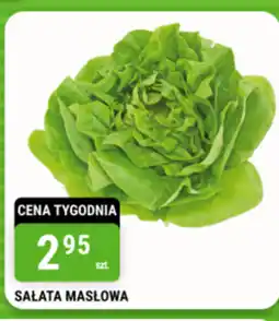 bi1 Sałata oferta