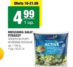 Spar Cykoria Green Factory oferta