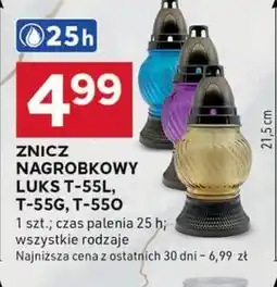 Stokrotka Optima Znicz Luks oferta