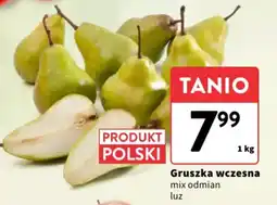 Intermarche Gruszka wczesna oferta