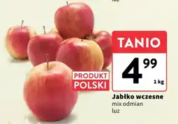 Intermarche Jabłko wczesne oferta