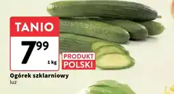 Intermarche Ogórek szklarniowy oferta