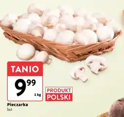 Intermarche Pieczarka oferta