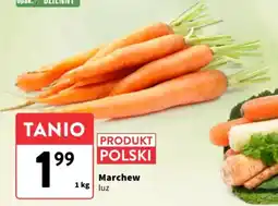 Intermarche Marchew oferta