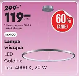 Biedronka Lampa wisząca oferta