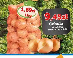 E.Leclerc Cebula oferta