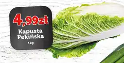 E.Leclerc Kapusta pekińska oferta