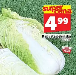 Topaz Kapusta pekińska TOPAZ oferta