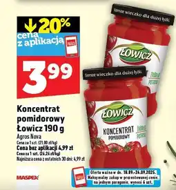 Topaz Koncentrat pomidorowy Łowicz oferta
