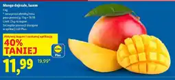 Lidl Mango dojrzałe Lidl oferta