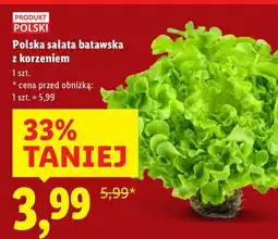 Lidl Sałata batawska z korzeniem Produkt Polski oferta