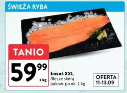 Intermarche Łosoś xxl filet ze skórą oferta