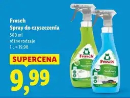 Lidl Frosch Spray do czyszczenia oferta
