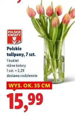 Lidl Polskie tulipany, 7 szt oferta