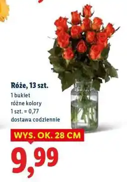 Lidl Róże, 13 szt oferta
