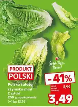 Kaufland Polska sałata rzymska mini oferta
