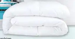 Selgros Kołdra carbon AMW oferta