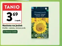 Intermarche Nasiona na jesień oferta