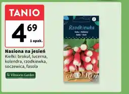 Intermarche Nasiona na jesień oferta
