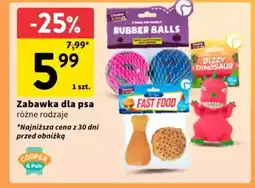 Intermarche Zabawka dla psa oferta