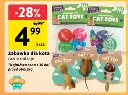 Intermarche Zabawka dla kota oferta