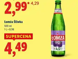 Lidl Piwo Łomża Śliwka oferta