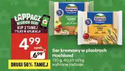 Delikatesy Centrum Ser kremowy w plastrach Hochland oferta