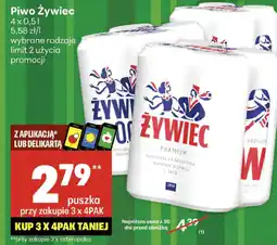 Delikatesy Centrum Piwo Żywiec oferta