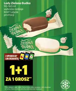 Delikatesy Centrum Lody Zielona Budka oferta