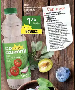 Delikatesy Centrum Ocet spirytusowy 10% Codzienny oferta
