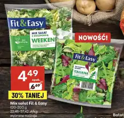 Delikatesy Centrum Mix sałat Fit & Easy oferta