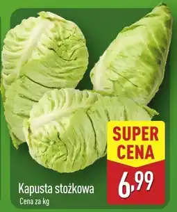 ALDI Kapusta stożkowa Aldi oferta