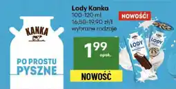 Delikatesy Centrum Lody Kanka oferta