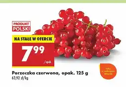 Biedronka Porzeczka czerwona Biedronka oferta