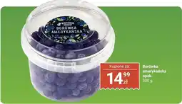 Biedronka Borówka amerykańska Biedronka oferta