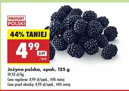 Biedronka Jeżyna polska Biedronka oferta