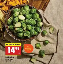 Biedronka Brukselka na wagę Biedronka oferta