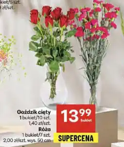 Delikatesy Centrum Goździk cięty oferta
