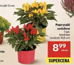 Delikatesy Centrum Papryczki ozdobne oferta