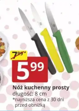 Prymus-AGD Nóż kuchenny prosty oferta
