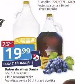 Prymus-AGD Balon do wina Dama oferta